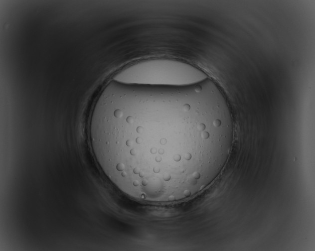 X0000090620347200707171107