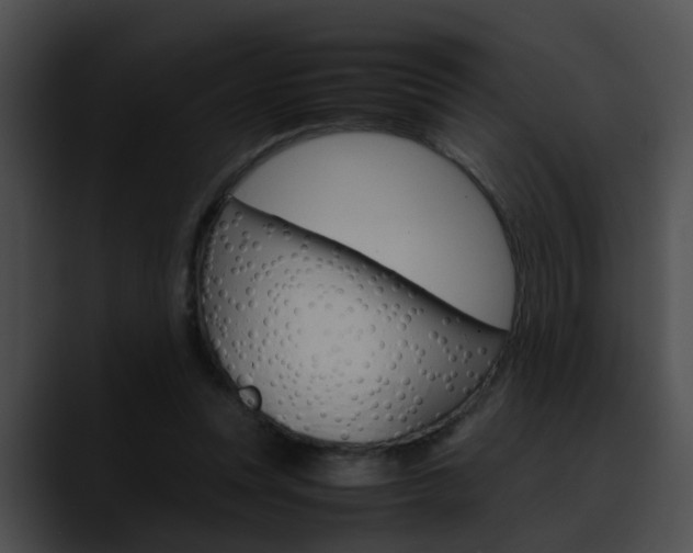 X0000090620351200707171107