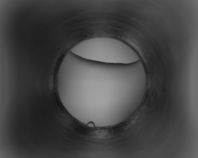 X0000090620353200707171107