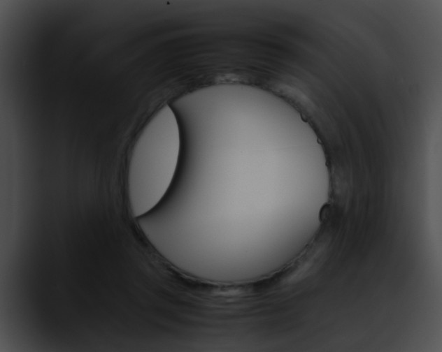X0000090620357200707171107