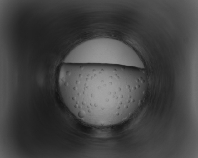 X0000090620359200707171107