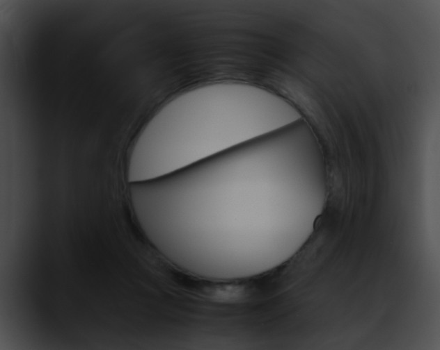 X0000090620361200707171107