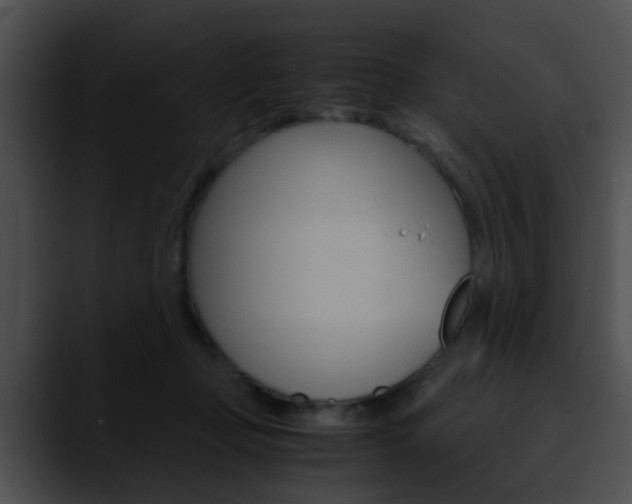 X0000090620365200707171107