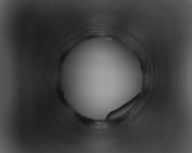 X0000090620376200707171107