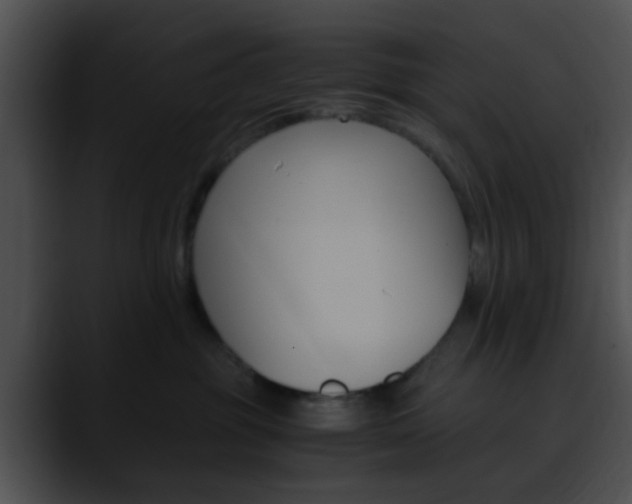 X0000090620381200707171107
