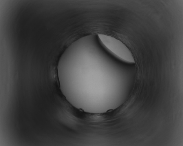 X0000090620383200707171107