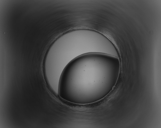 X0000090620389200707171106