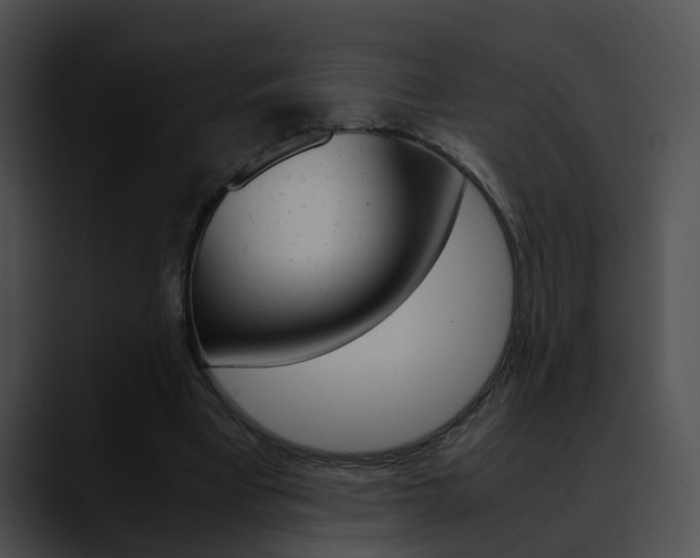 X0000090620393200707171106
