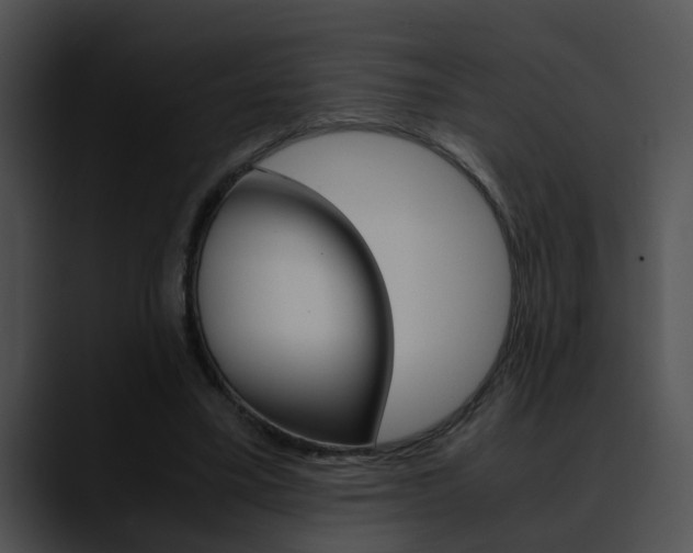 X0000090620395200707171106