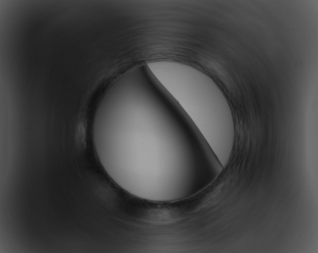 X0000090620404200707171106