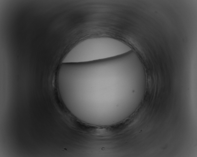 X0000090620406200707171106