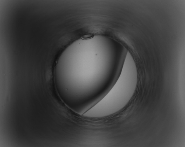 X0000090620407200707171106