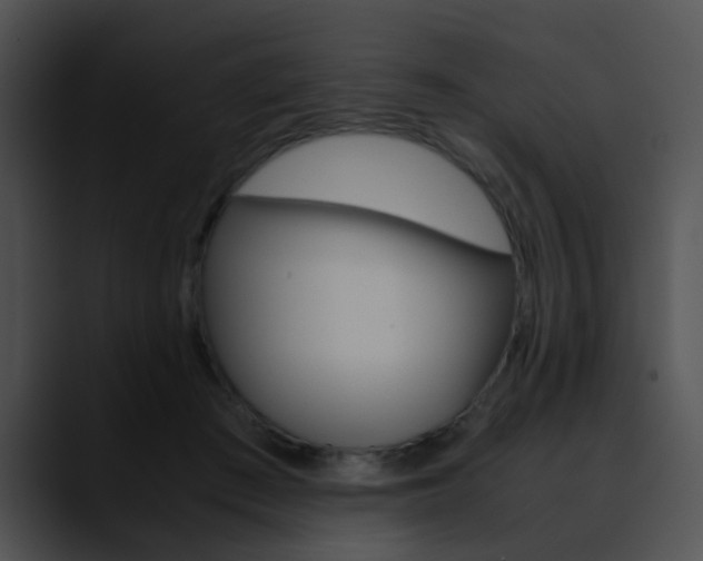 X0000090620409200707171106
