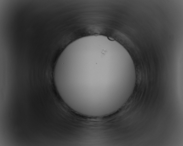 X0000090620414200707171106