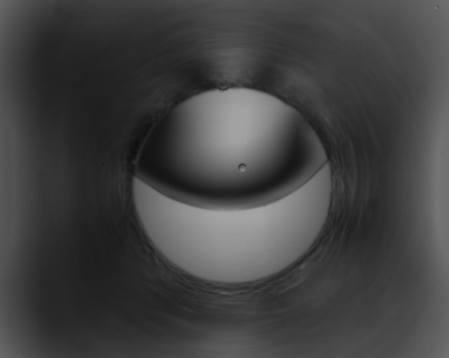 X0000090620416200707171106
