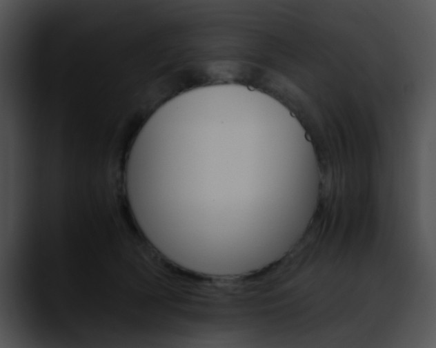 X0000090620418200707171106