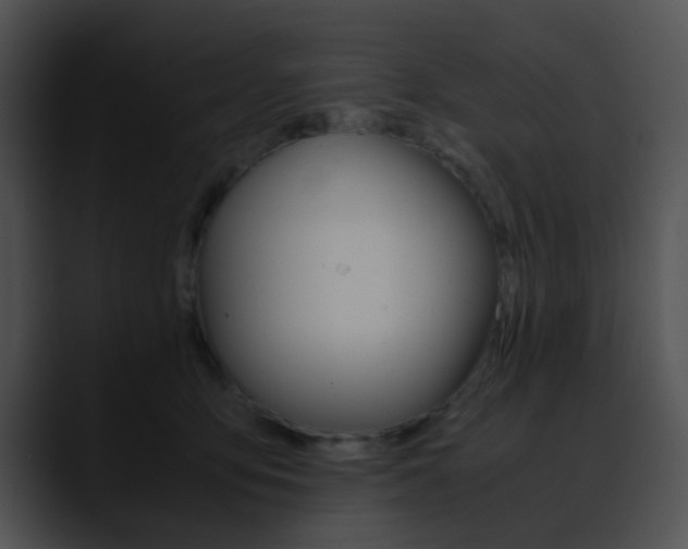 X0000090620419200707171106