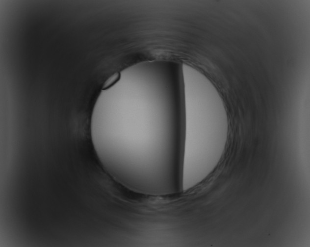 X0000090620421200707171106