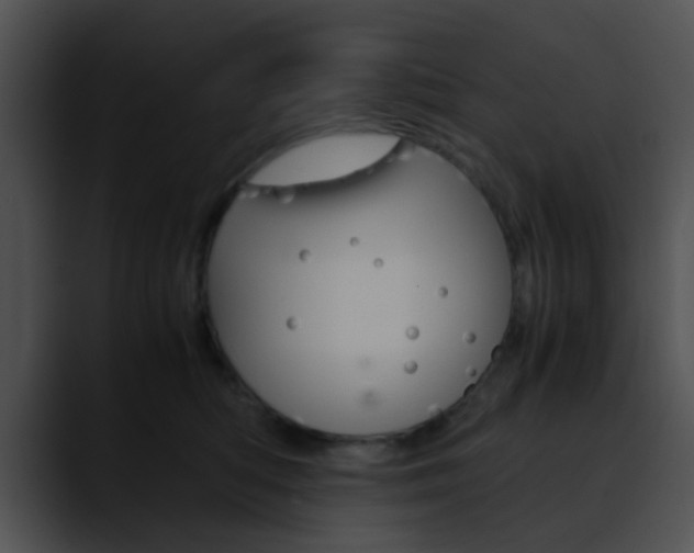 X0000090620422200707171106