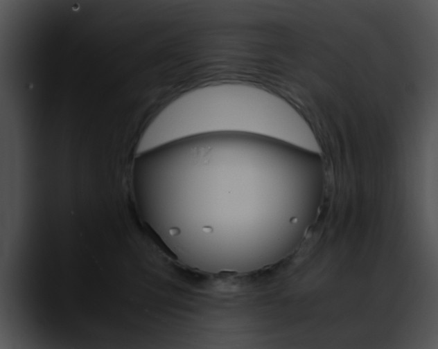X0000090620423200707171106