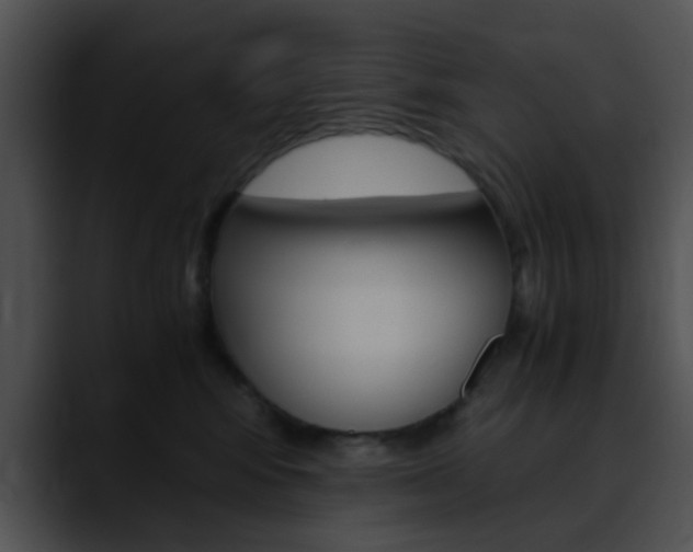 X0000090620424200707171106