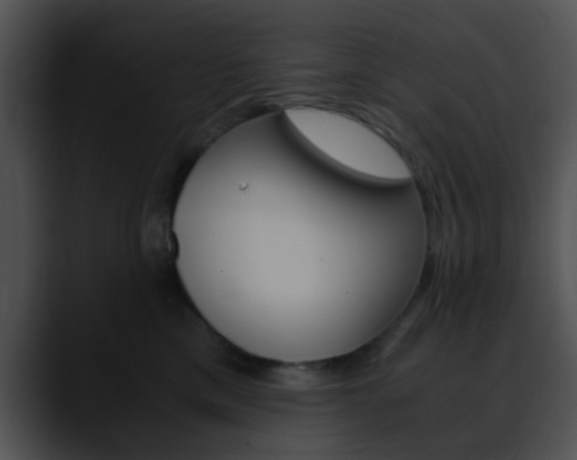 X0000090620425200707171106