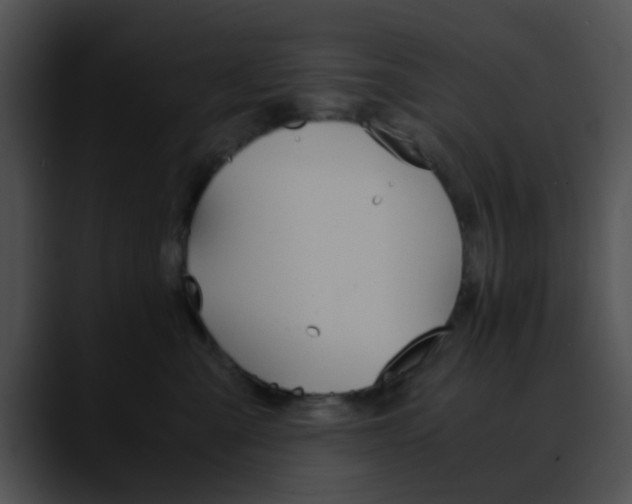 X0000090620427200707171106