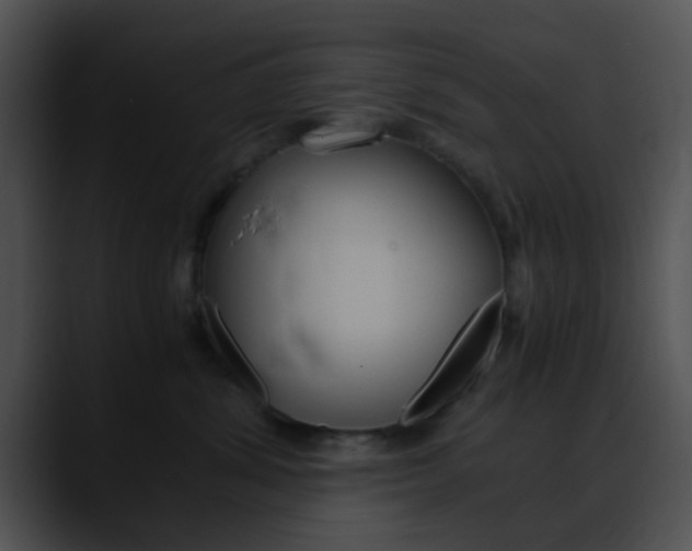 X0000090620428200707171106