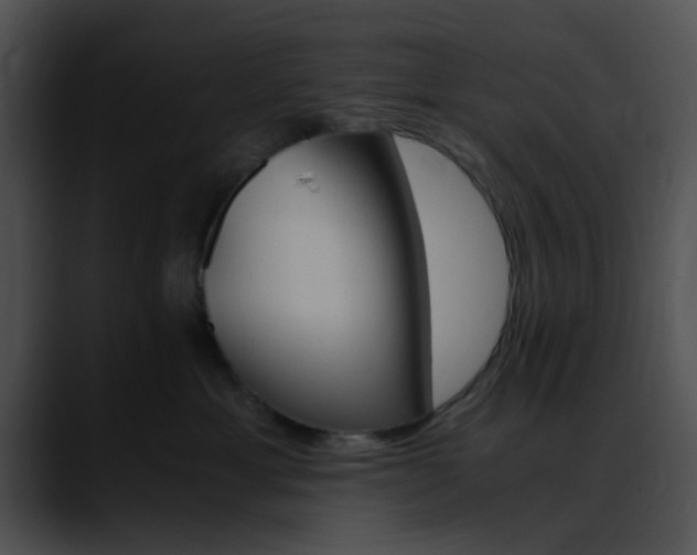 X0000090620429200707171106