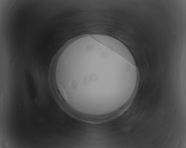 X0000090620431200707171106