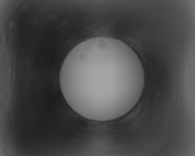 X0000090620432200707171106