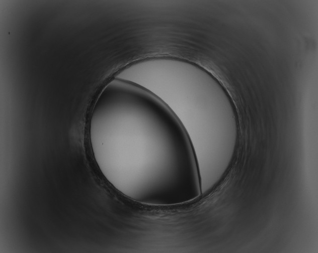 X0000090620434200707171105
