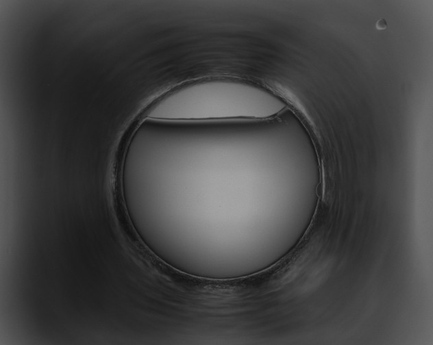 X0000090620435200707171105