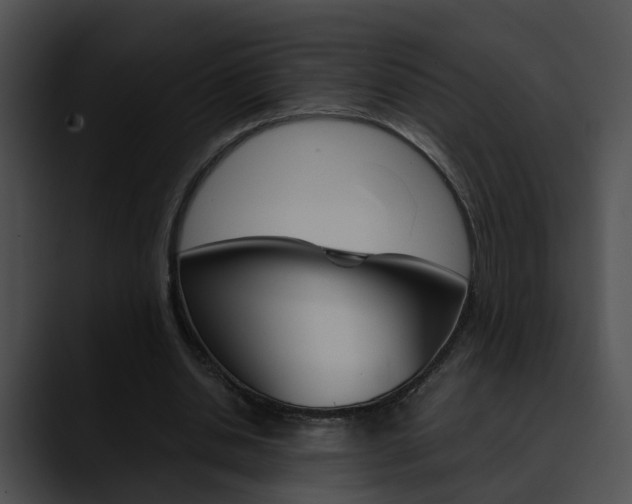 X0000090620438200707171105