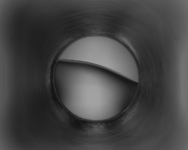 X0000090620443200707171105
