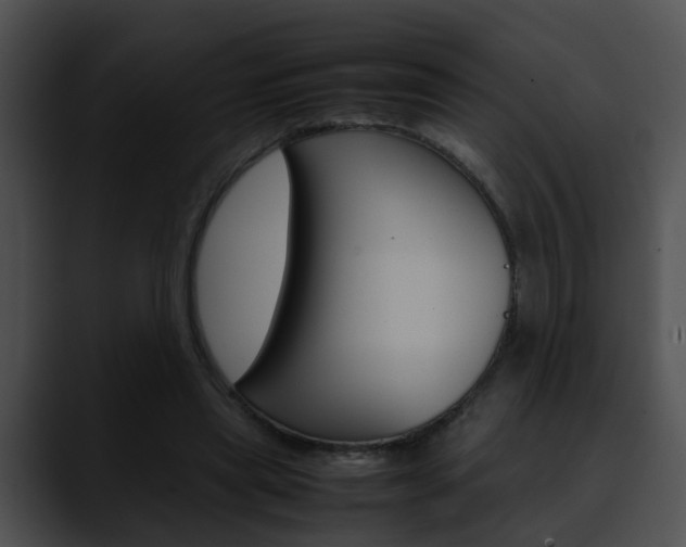 X0000090620445200707171105