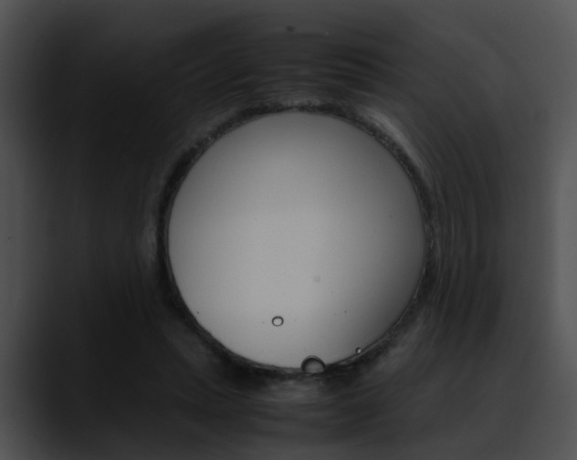 X0000090620447200707171105