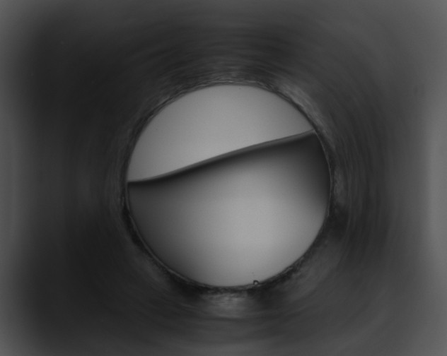 X0000090620449200707171105