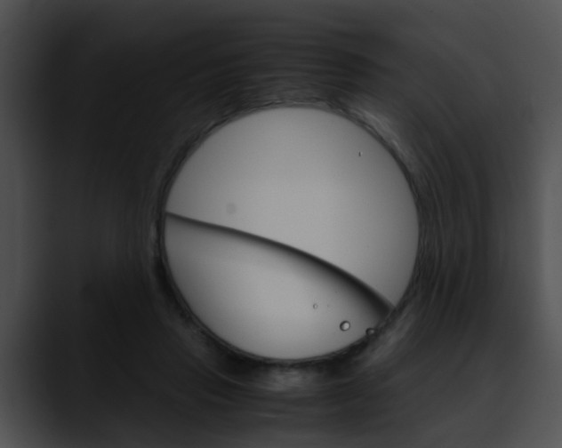 X0000090620453200707171105