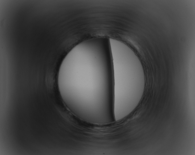 X0000090620455200707171105