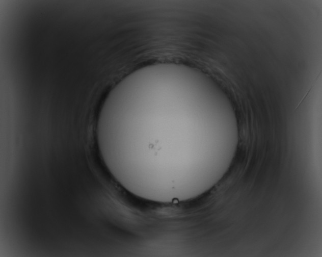 X0000090620468200707171106