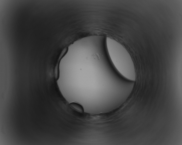 X0000090620472200707171106