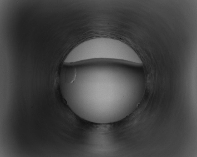X0000090620474200707171106