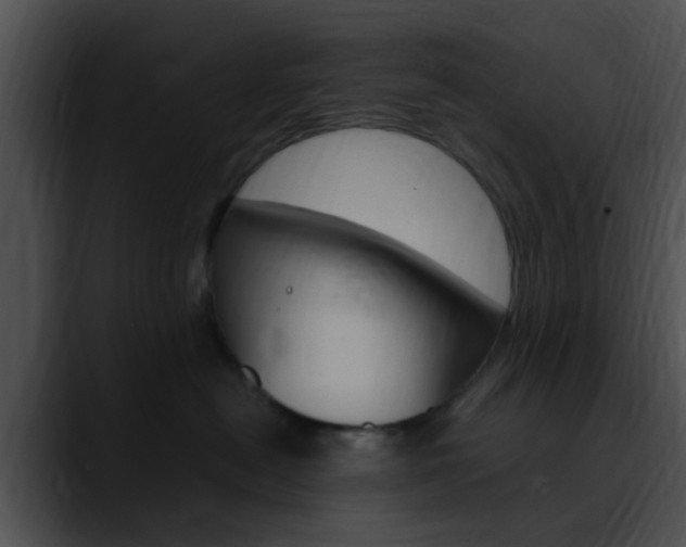 X0000090620478200707171106