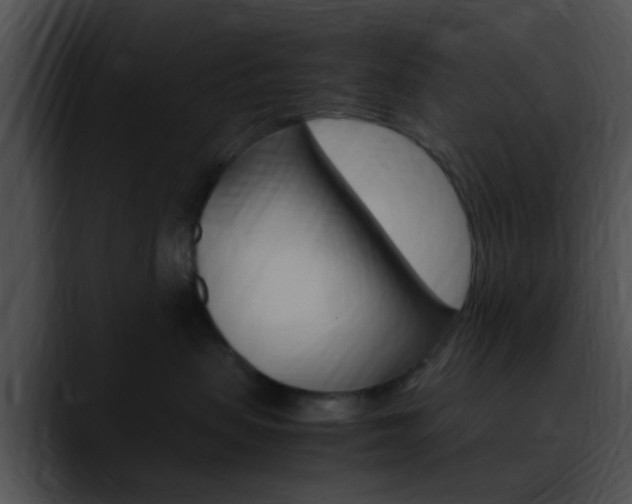 X0000090620479200707171106