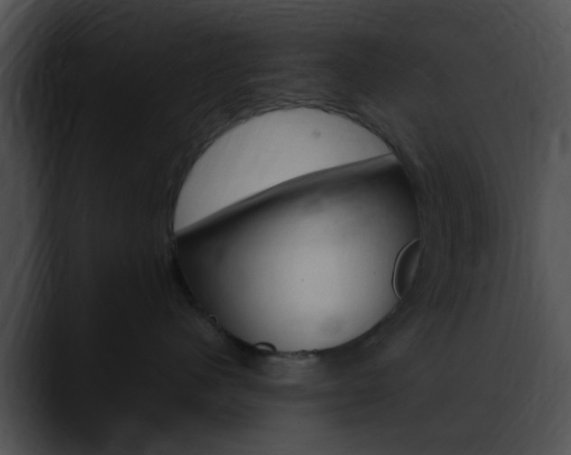 X0000090620480200707171106