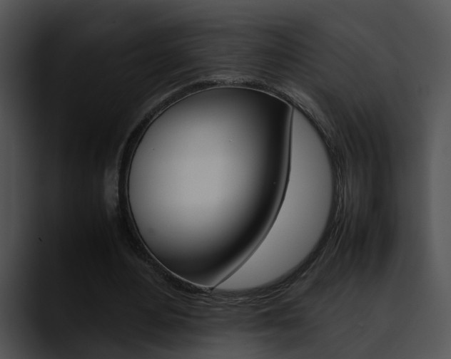 X0000090620484200707171105