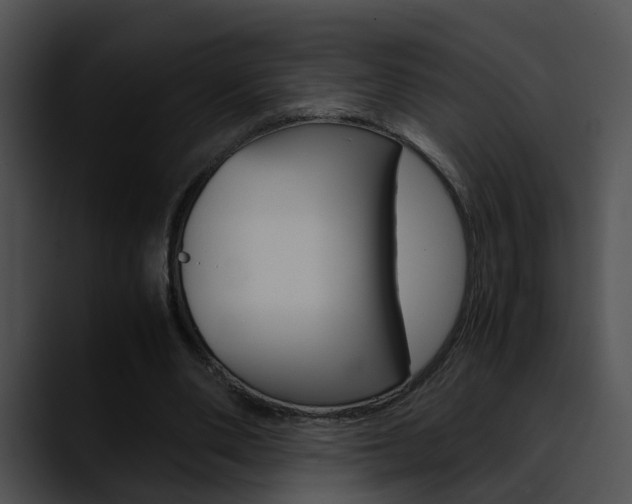 X0000090620486200707171105