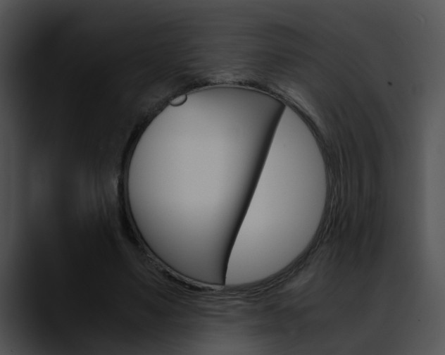 X0000090620491200707171105