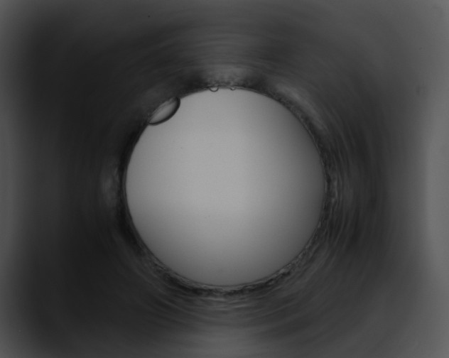 X0000090620498200707171105